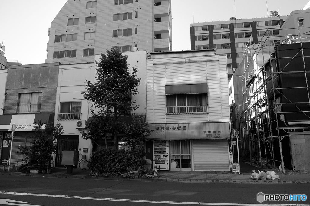 tokyo monochrome# (1376)