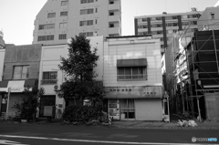 tokyo monochrome# (1376)