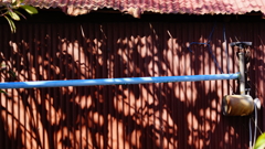 quiet color#392