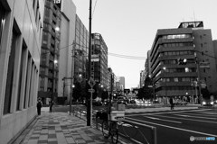 tokyo monochrome# (1391)