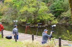 おいくら万円だろう？