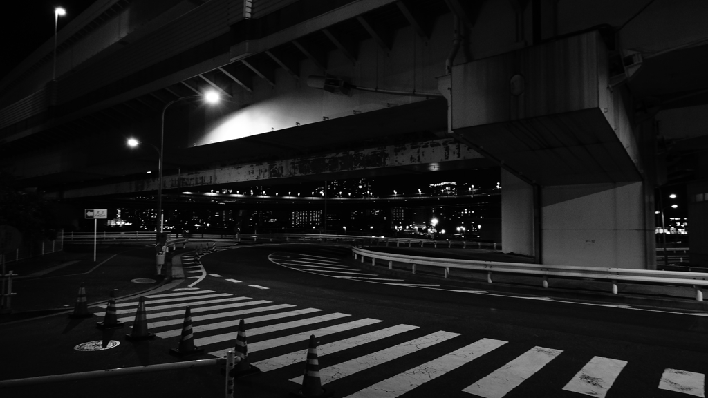 tokyo monochrome#446