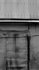 quiet color#252