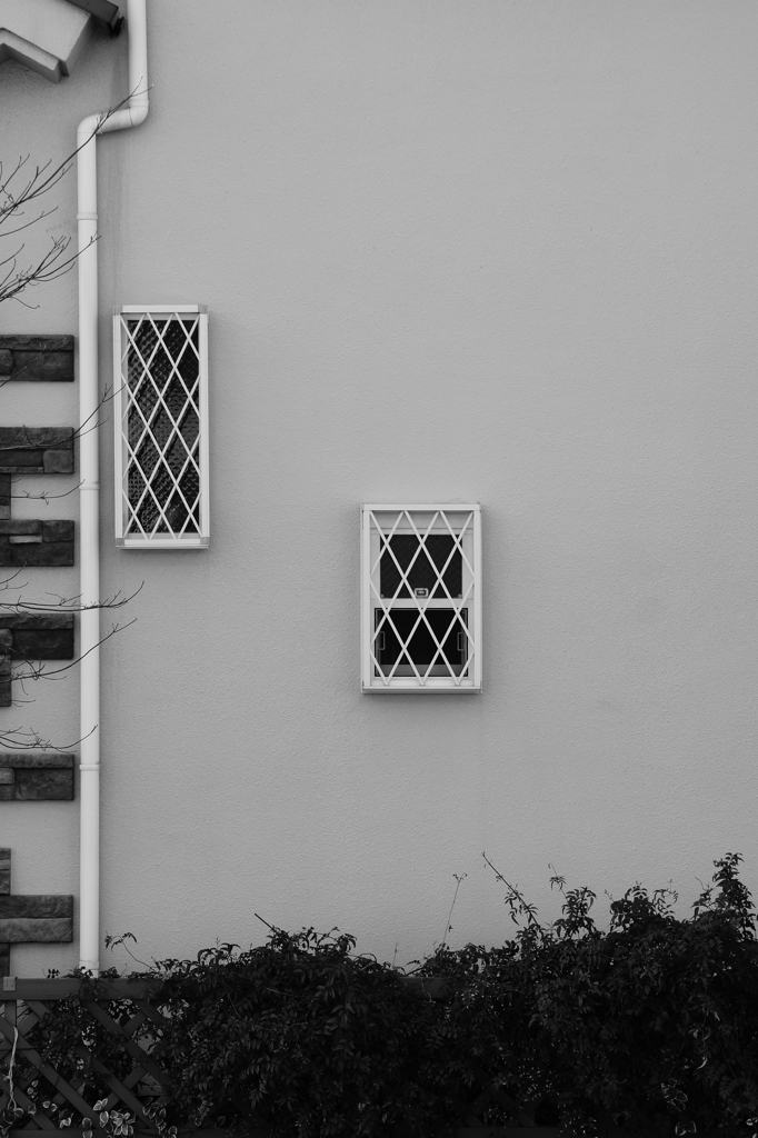 quiet color#434