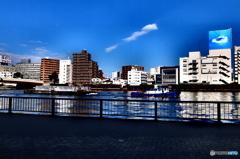 street coner illusion (182)