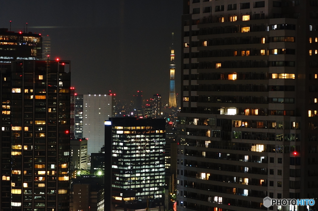 20151130　世界貿易センタービル (63)スカイツリー