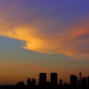 東京湾夕景