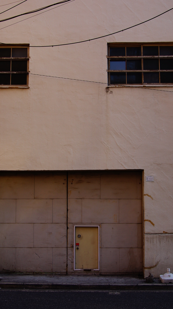 quiet color#381