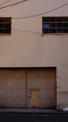 quiet color#381