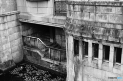 tokyo monochrome# (1040)