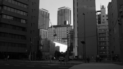 tokyo monochrome#463