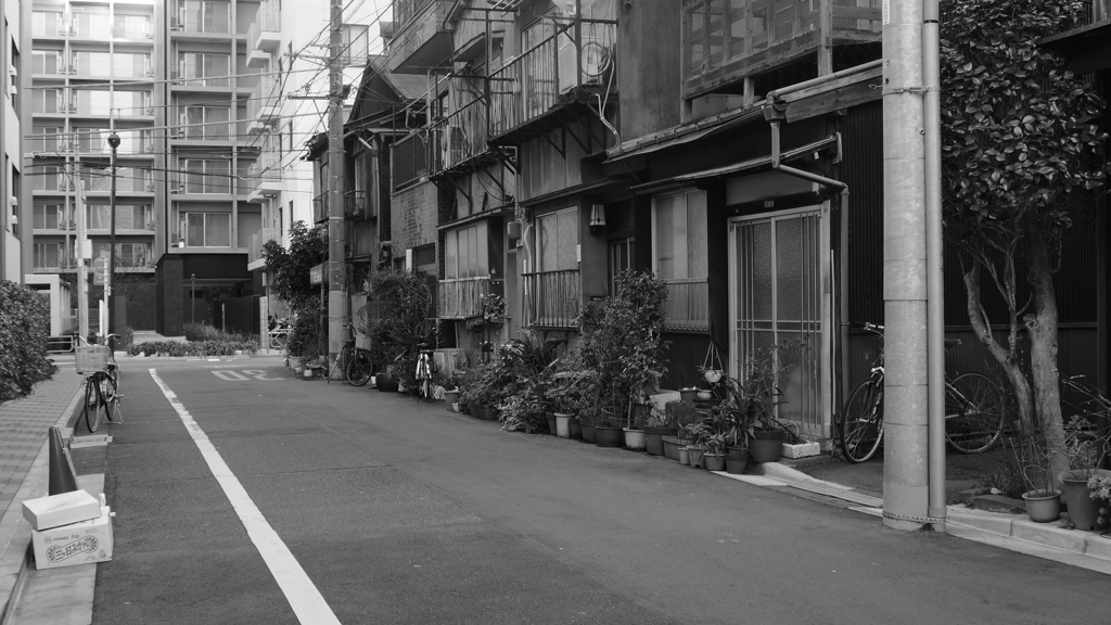 tokyo monochrome#686