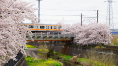 撮り鐵ではありませんが。
