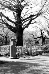 tokyo monochrome#284