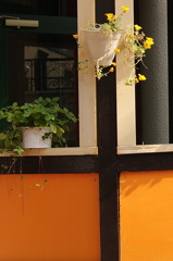 quiet color#103