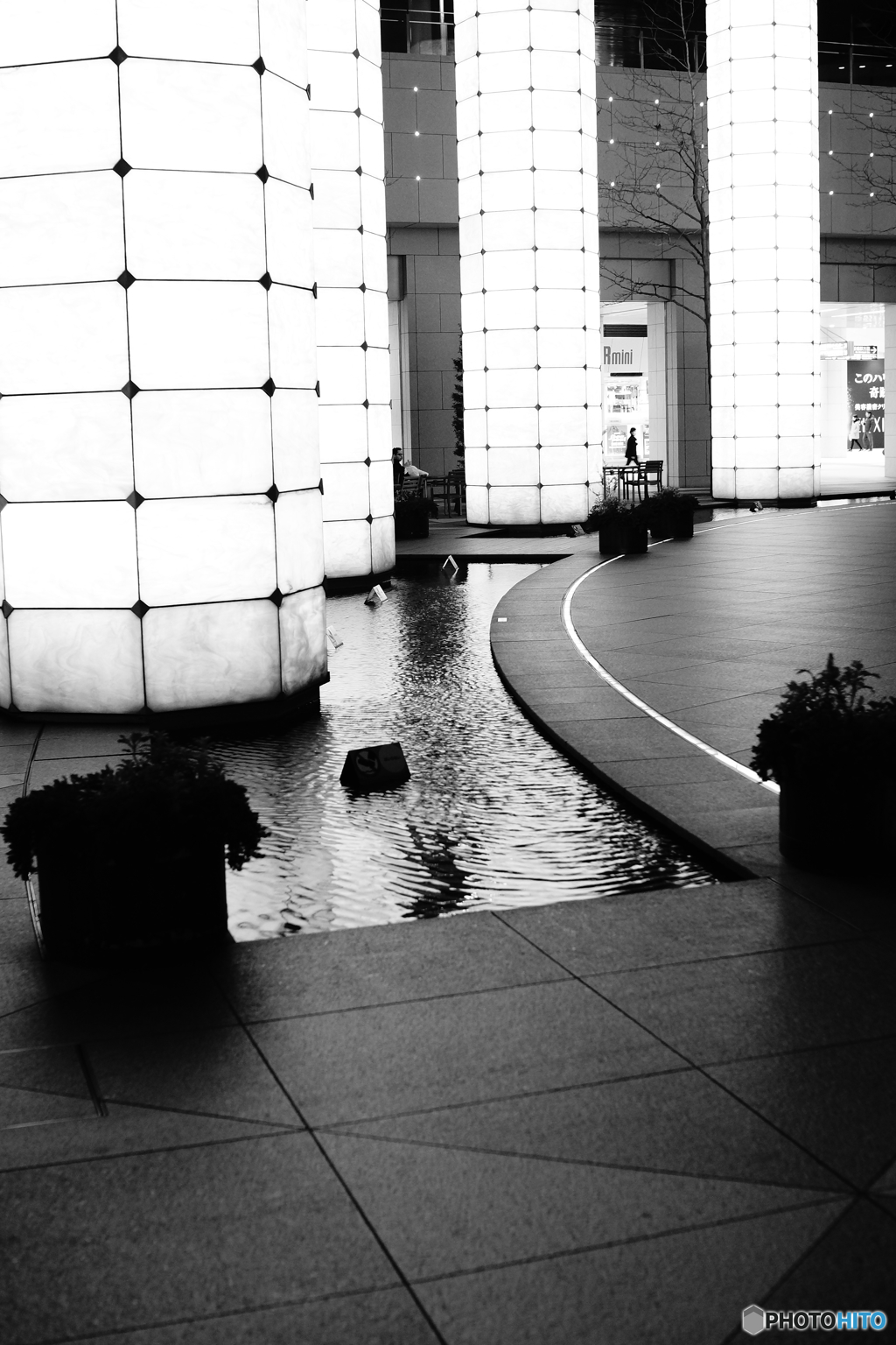 Tokyo monochrome# (1242)