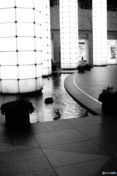 Tokyo monochrome# (1242)