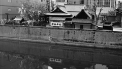 tokyo monochrome#619