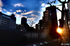 street coner illusion (177)