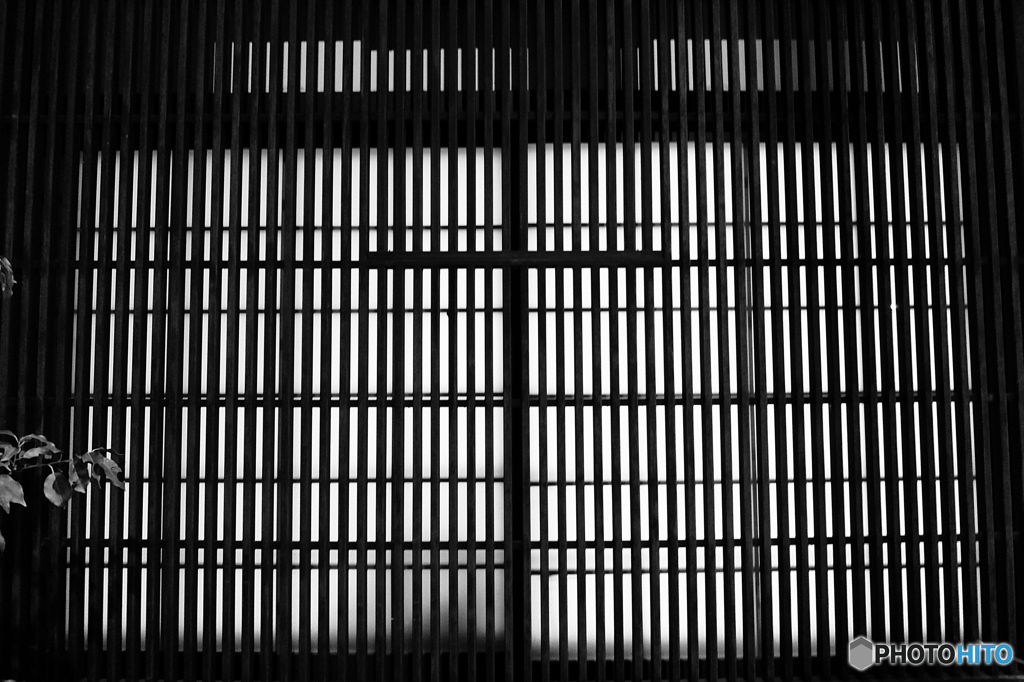 quiet color#1108