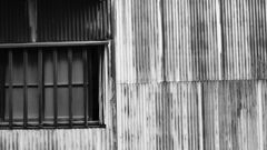 quiet color#281