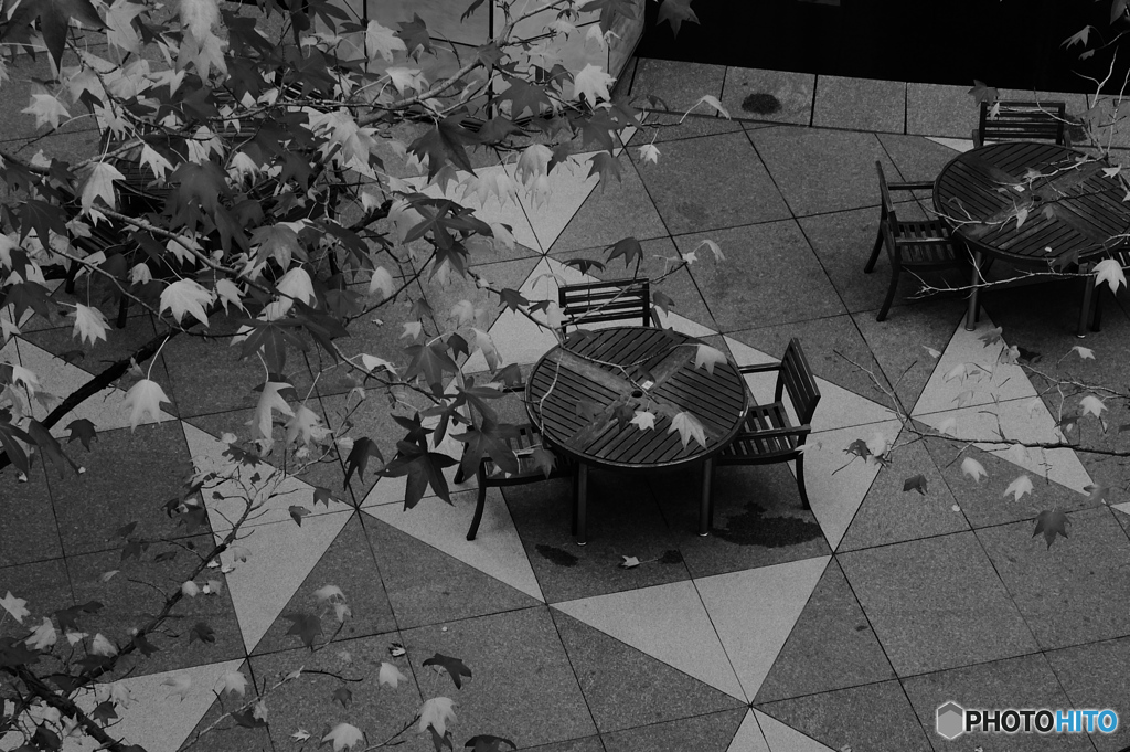 tokyo monochrome#755
