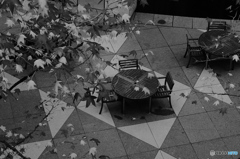 tokyo monochrome#755