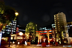 street coner illusion (170)