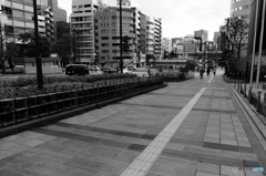 tokyo monochrome# (1180)