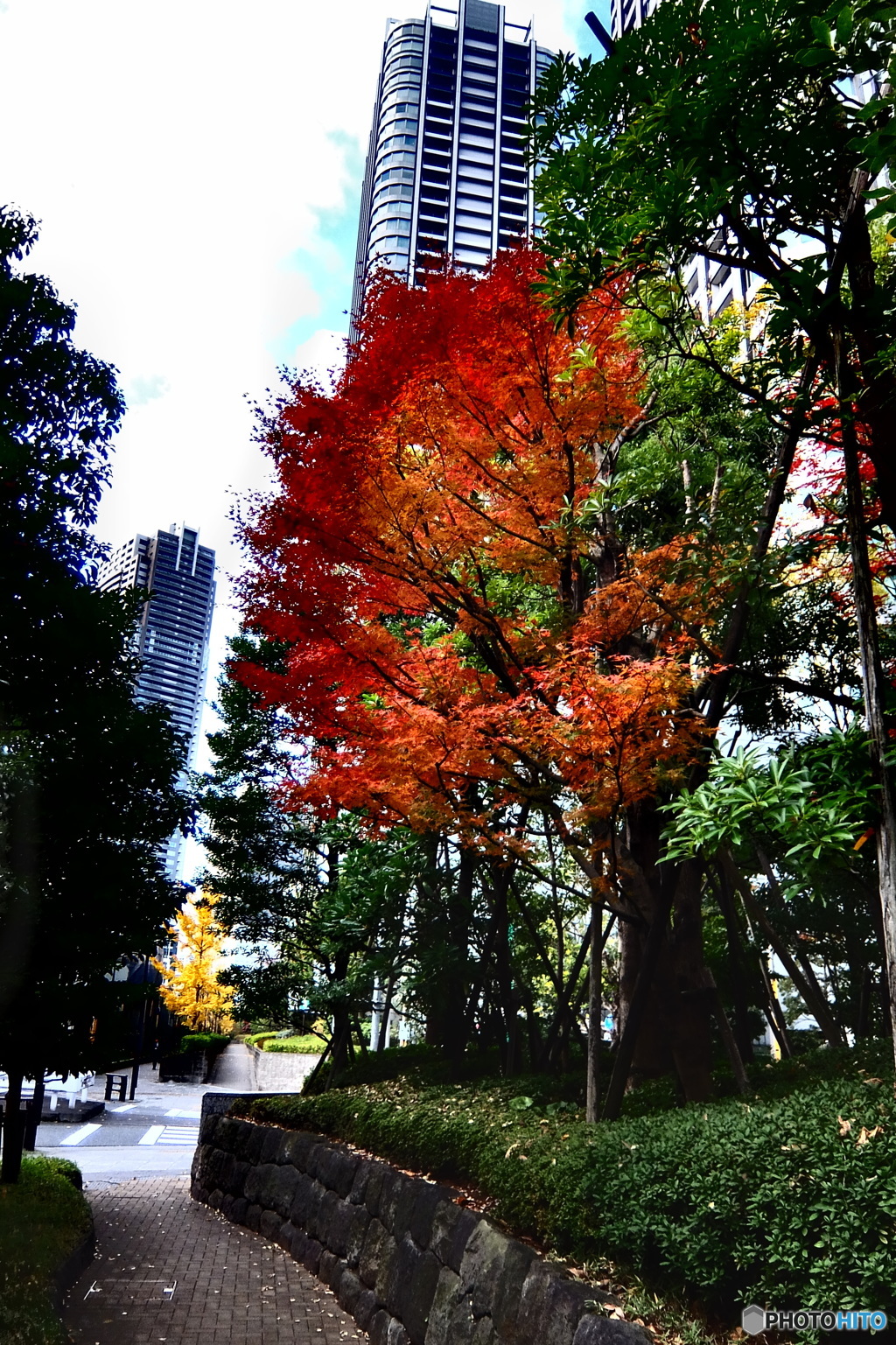 street corner illusions#88