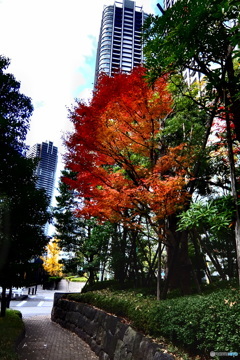 street corner illusions#88