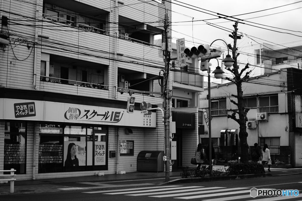 Tokyo monochrome# (1273)