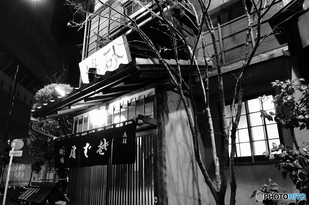 tokyo monochrome# (1193)