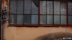 quiet color#955