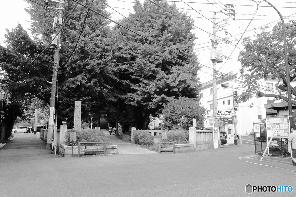 tokyo monochrome# (1672)