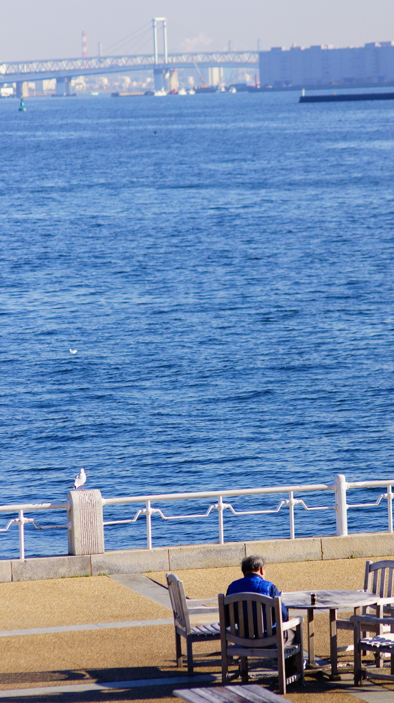 岸壁でのんびりと