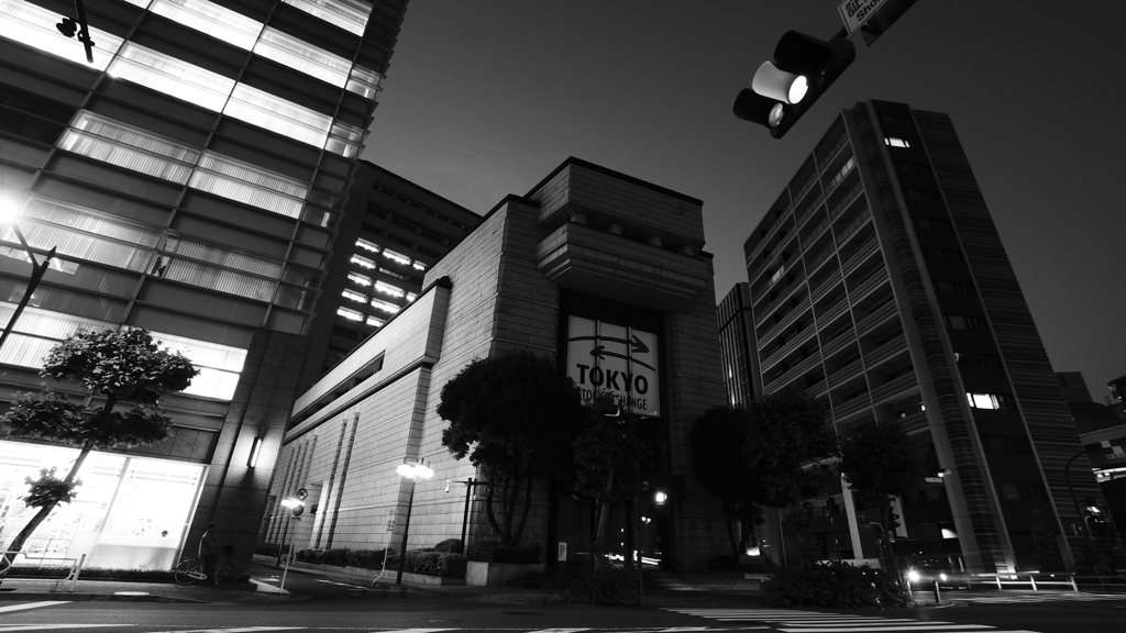 tokyo monochrome#663