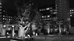 tokyo monochrome#640