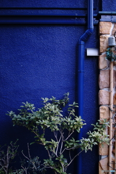 quiet color#1024