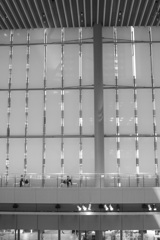 tokyo monochrome#338