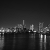 tokyo monochrome#442