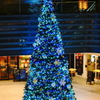 bright blue tree