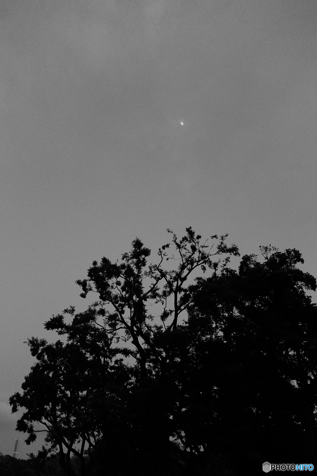tokyo monochrome# (1339)
