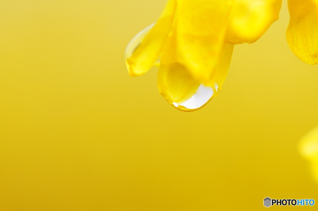 Drop of tears