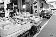 tokyo monochrome#967