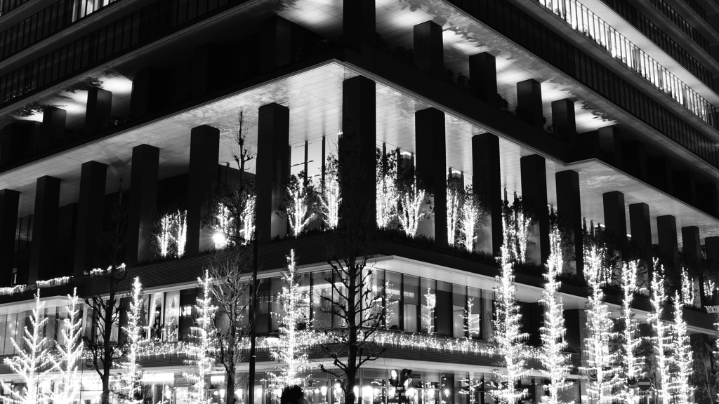 tokyo monochrome#48