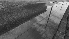 水溜り
