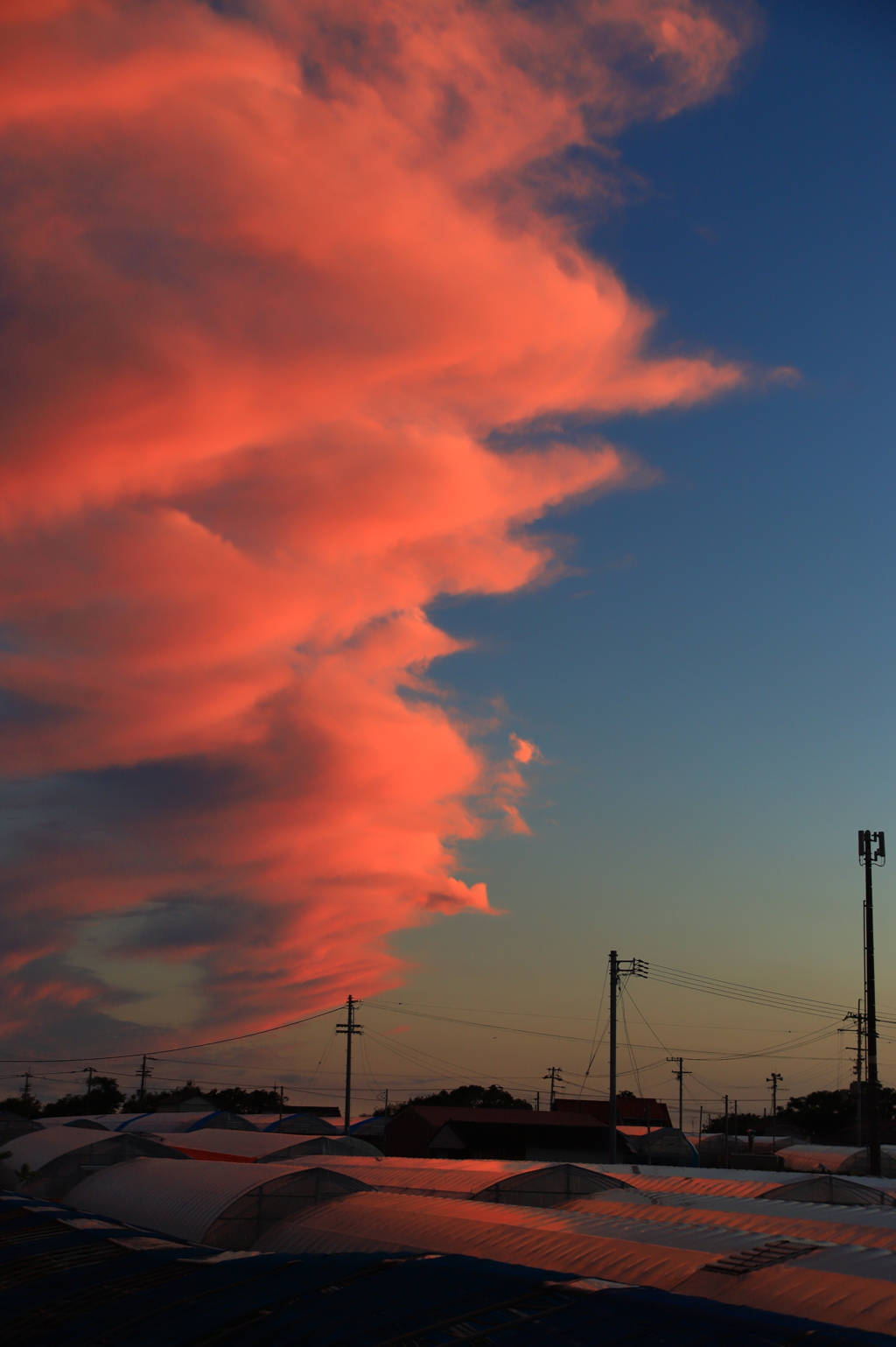 夕暮れ