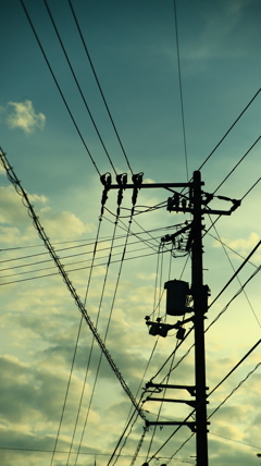 電線