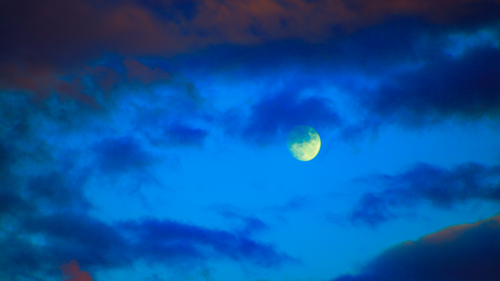 十六夜